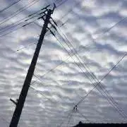 わんわんの画像