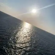 りんごの画像