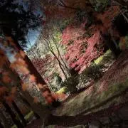 O.Tの画像