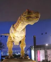 ＊ままろん＊の画像