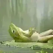 ややの画像