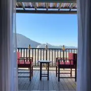旅するうさぎ（はむはむ）