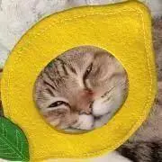 みどりいろの画像