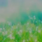 ぱぴこ★購入時プロフ必読の画像