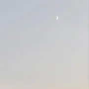 Mの画像