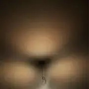 電灯さん