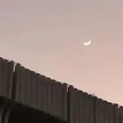 ゆうゆう (プロフ必読)の画像