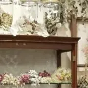 薊の画像