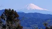 tenri