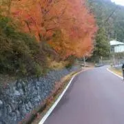 吉川健一の画像