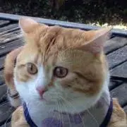 メイくん