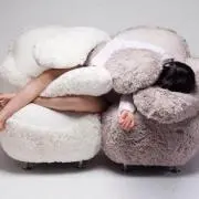 macaronの画像