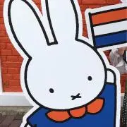 niiの画像