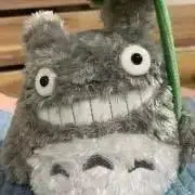 リリの画像