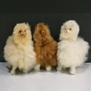 やもの画像