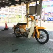 tomoの画像