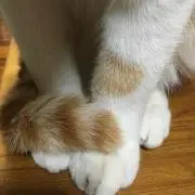 けーちゃん