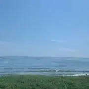 あちゃも大好きの画像