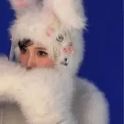 みの画像