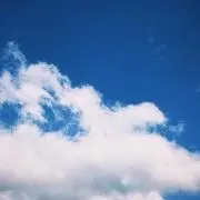 rinの画像