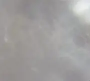 今敏