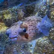 なななの画像