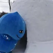 ぱぴの画像
