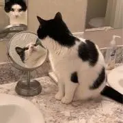 namiの画像