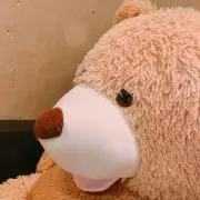 hikaruの画像