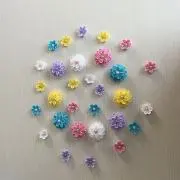 cocoの画像