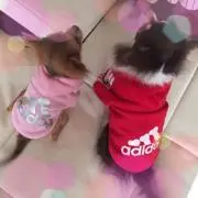 ku×co