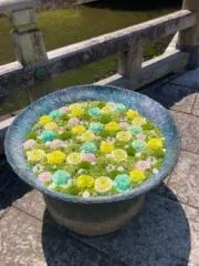 もちの画像