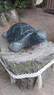 まりおの画像