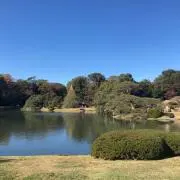 ndwnm407の画像