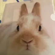 ひでみんの画像