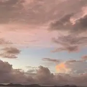 虎こ☆