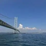 Pの画像