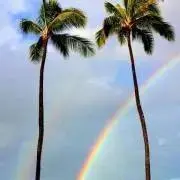 AA