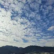 kyuzemyoの画像