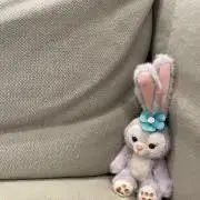 かしわもち