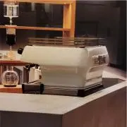 キンギョ