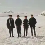 ふてふての画像