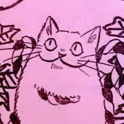 ぽんたの画像