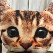 T.M