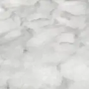ruruの画像