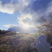 Nero販売専門の画像