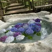 まさまさの画像