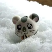 よりもいʕ•ᴥ•ʔの画像
