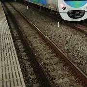 ミューラー