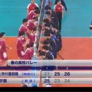 売り売り